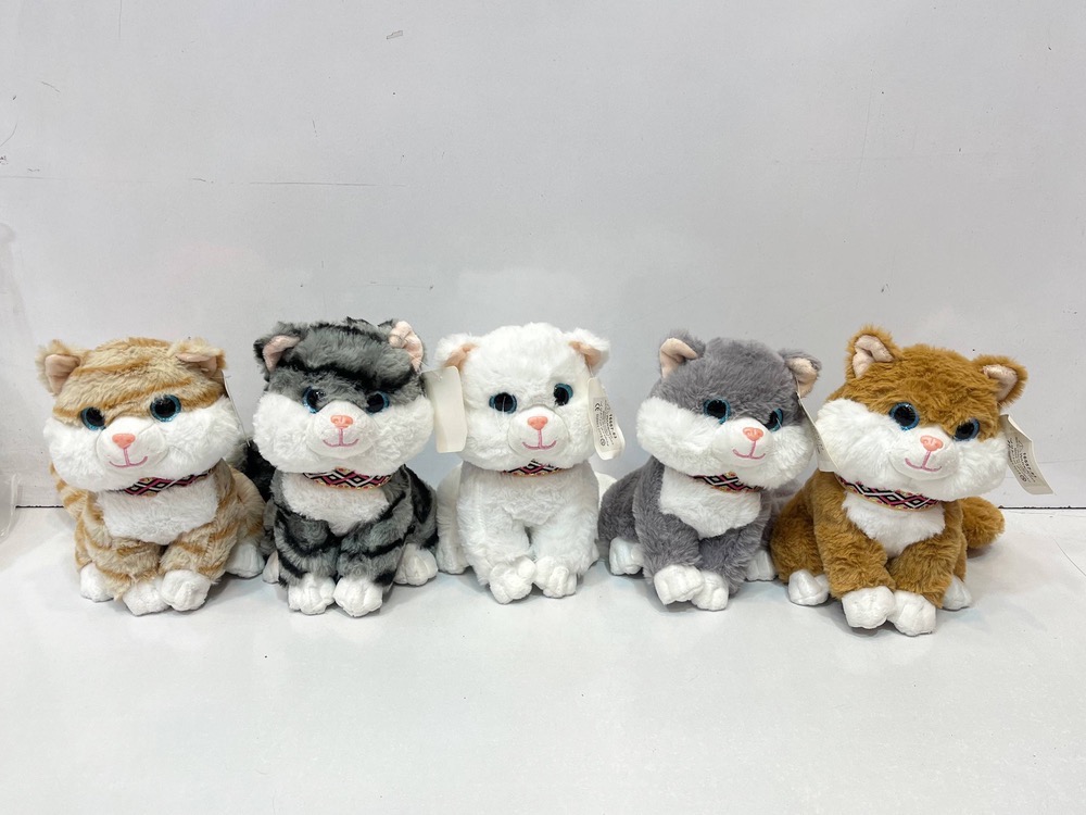گربه چشم تیله ای نشسته  25سانت